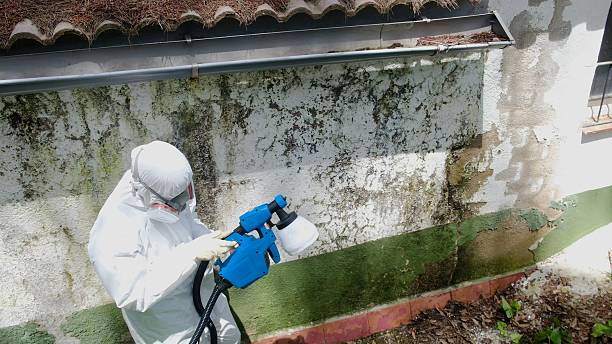 Top rated local Black Mold Remediation specialists in Fairplay, GA